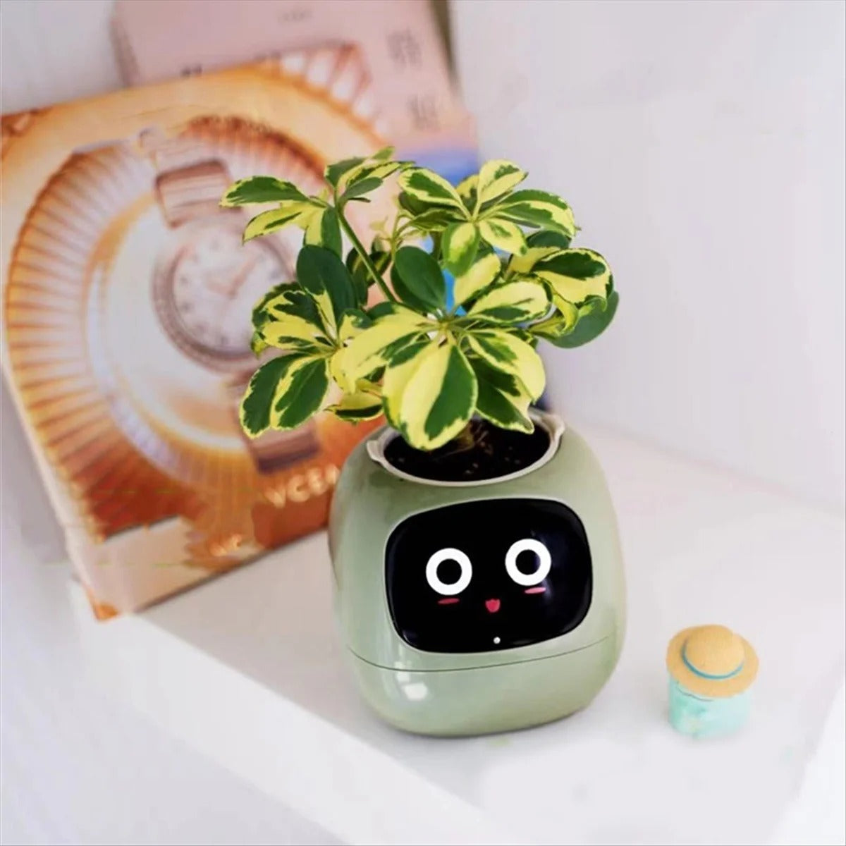 Plantagotchi – Intelligenter Pflanzenroboter