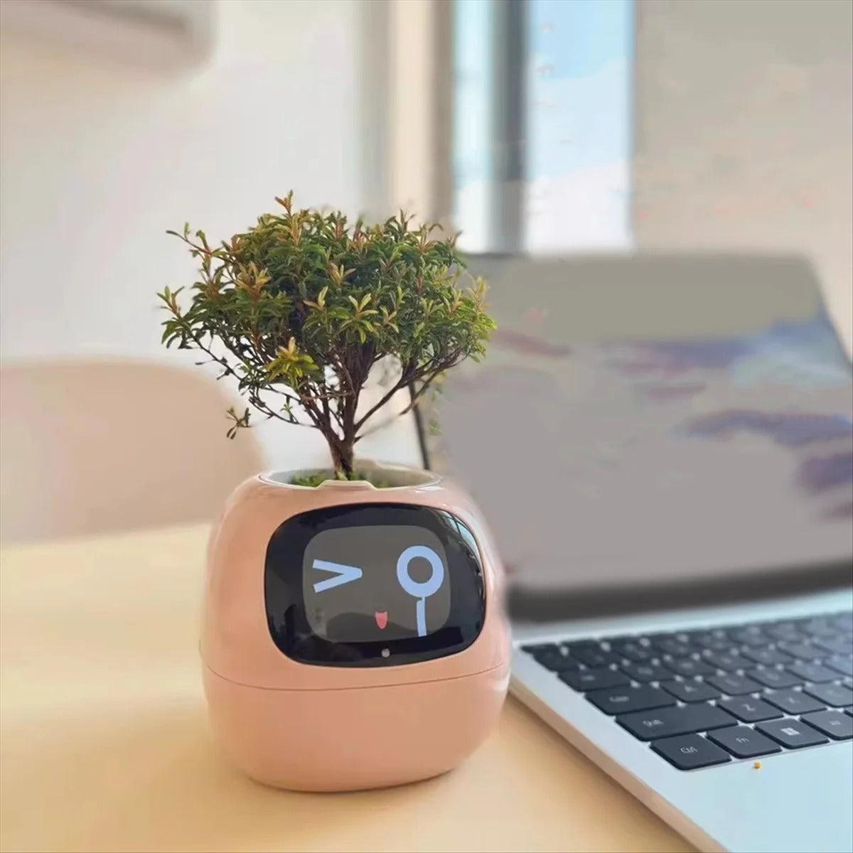 Plantagotchi – Intelligenter Pflanzenroboter