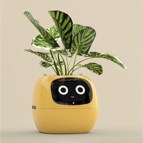 Plantagotchi – Intelligenter Pflanzenroboter